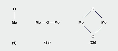 Oxomolybdenum species