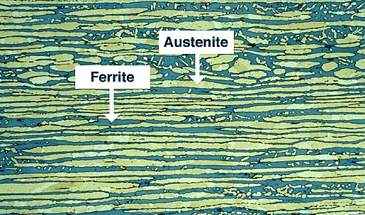 Duplex stainless steel